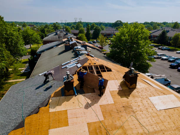 Roof Gutter Cleaning in Nichols Hills, OK