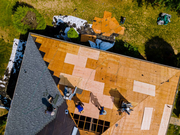 Best Roof Gutter Cleaning  in Nichols Hills, OK